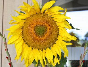 bilder_14