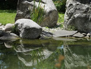 bilder_5